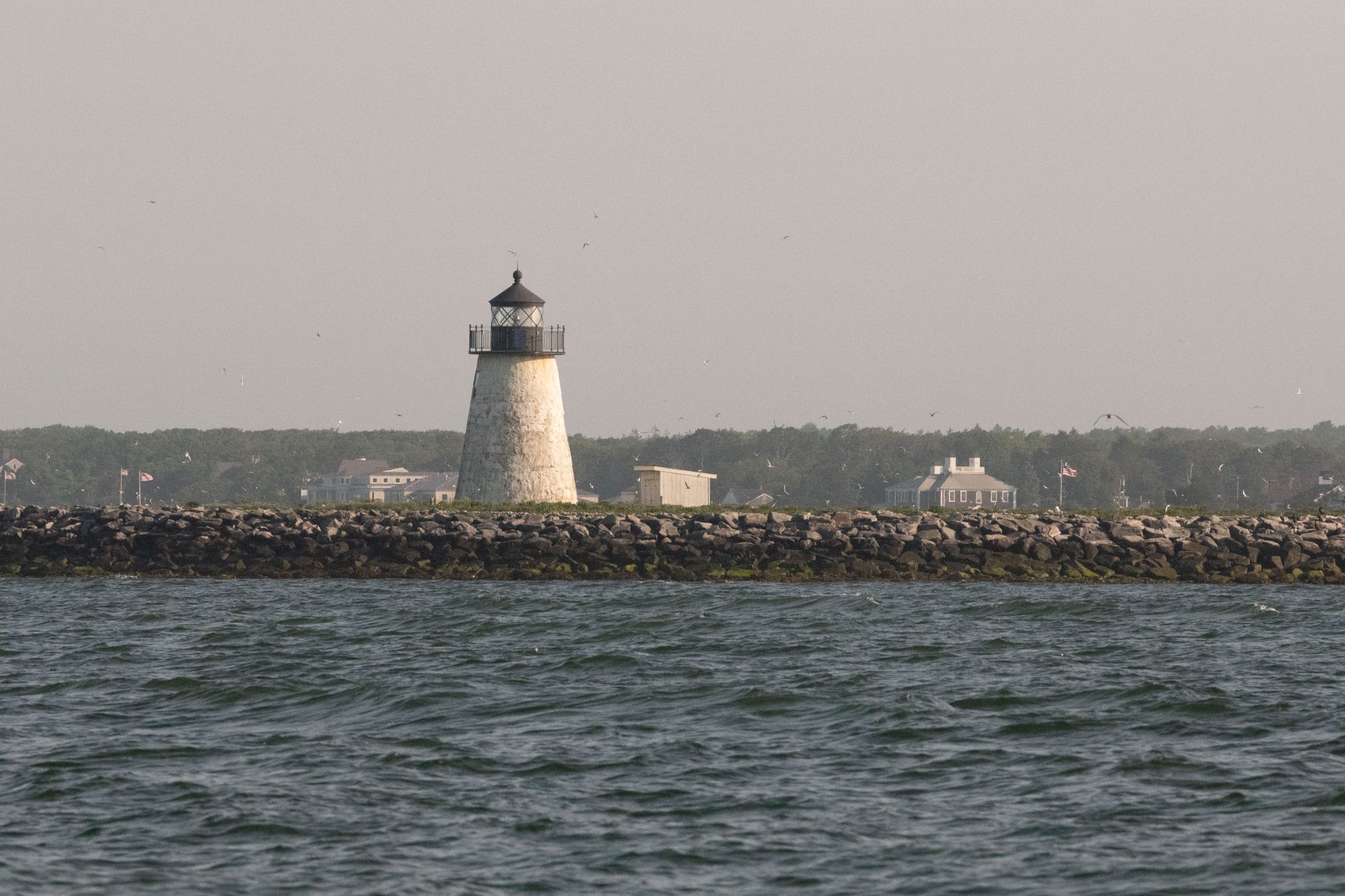 DSC 3904 7